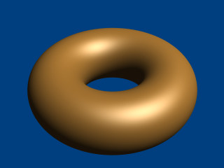 Torus polynomial